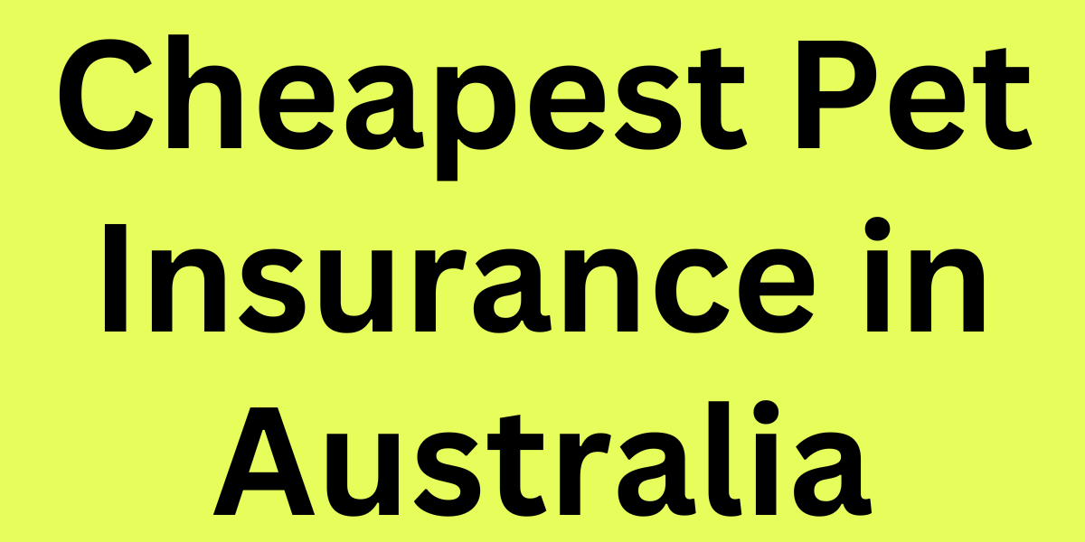 Cheapest Pet Insurance in Australia